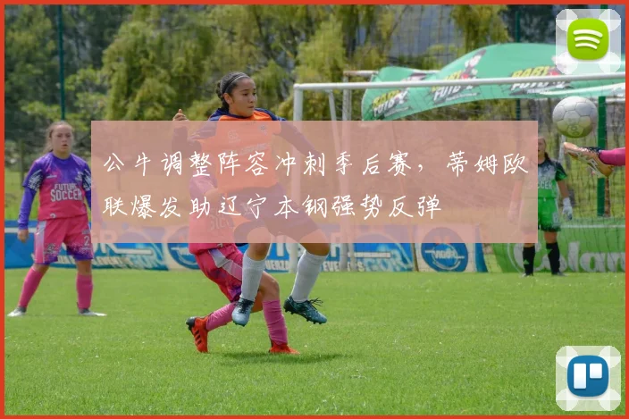 公牛调整阵容冲刺季后赛，蒂姆欧联爆发助辽宁